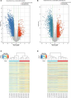 The m6A methylation profiles of immune cells in type 1 diabetes mellitus